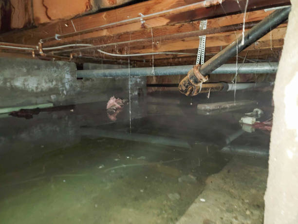 Best Flooded house restoration  in Sweetwater, FL
