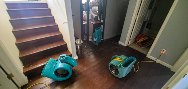 Best Mold removal after water damage  in Sweetwater, FL