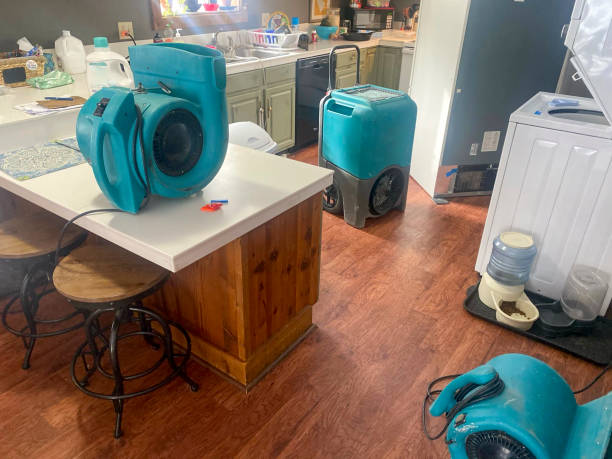 Best Mold removal after water damage  in Sweetwater, FL