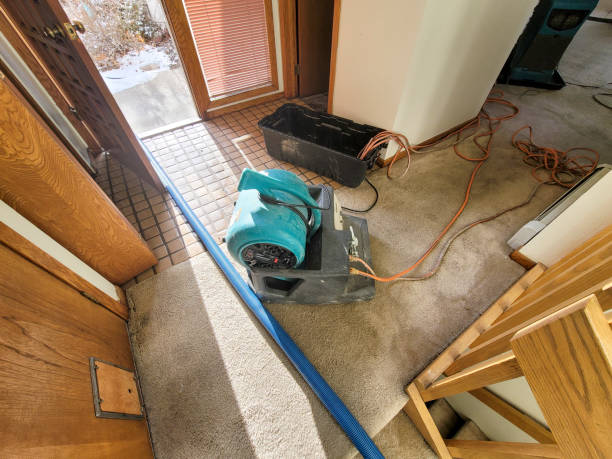 Best Ceiling water damage repair  in Sweetwater, FL