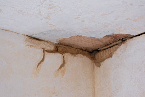 Best Water damage restoration insurance claims  in Sweetwater, FL