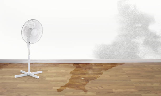 Best Residential water damage restoration  in Sweetwater, FL