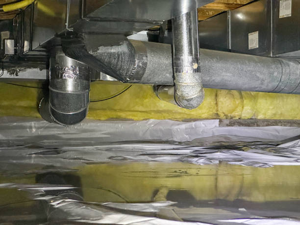 Best Professional water damage repair  in Sweetwater, FL