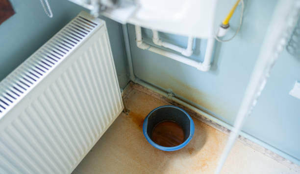 Best Water damage mitigation services  in Sweetwater, FL