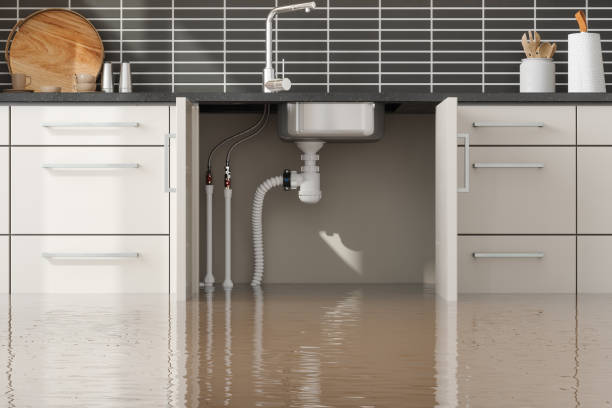  Sweetwater, FL Water damage restoration Pros