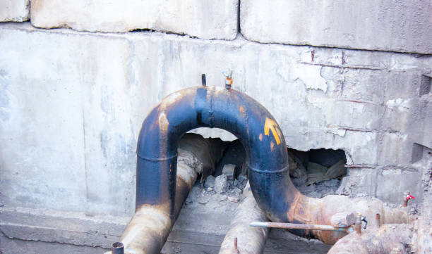 Best Professional water damage repair  in Sweetwater, FL