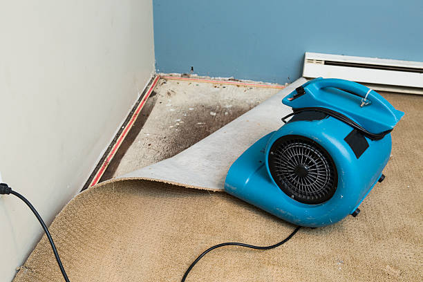 Best 24-hour water damage restoration  in Sweetwater, FL